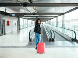Vincenzo Carnovale:Traveler