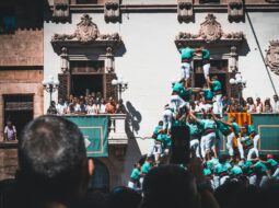 Vincenzo Carnovale: Cultural Power